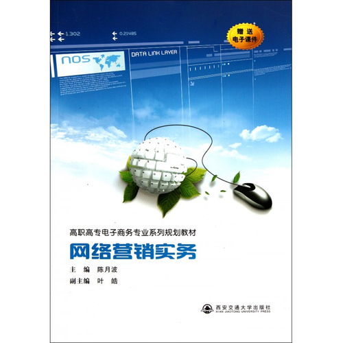 網(wǎng)絡(luò)營銷實務(wù) 電子商務(wù)專業(yè)高職高專系列規(guī)劃教材解析